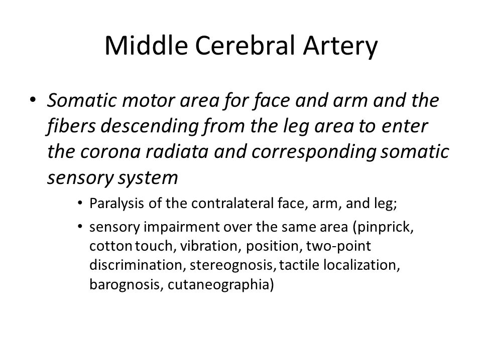 Middle Cerebral Artery