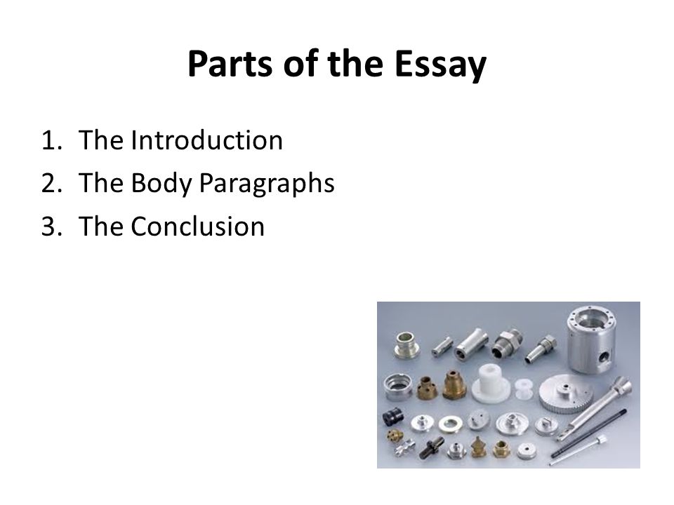 Parts of the Essay The Introduction The Body Paragraphs The Conclusion