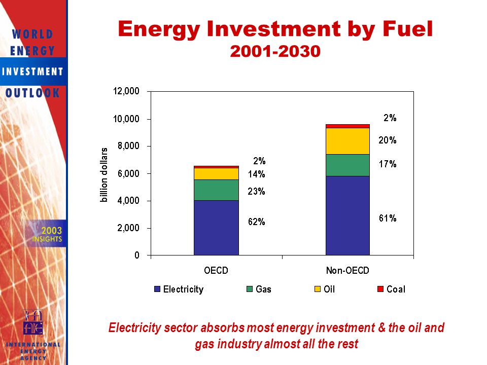 Energy Investment by Fuel