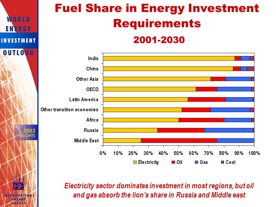 Fuel Share in Energy Investment Requirements