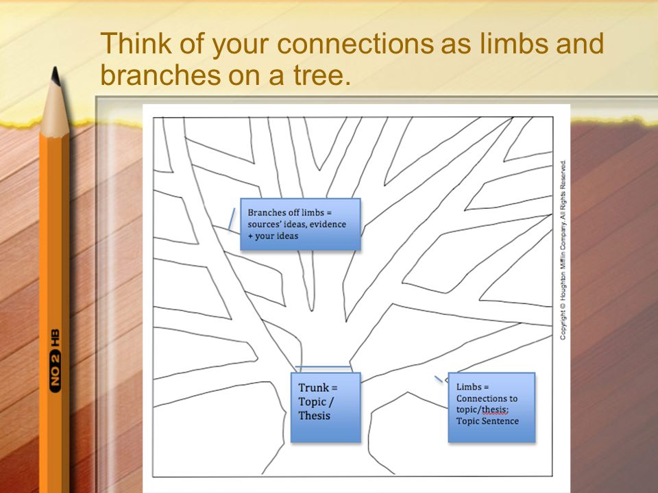 Think of your connections as limbs and branches on a tree.