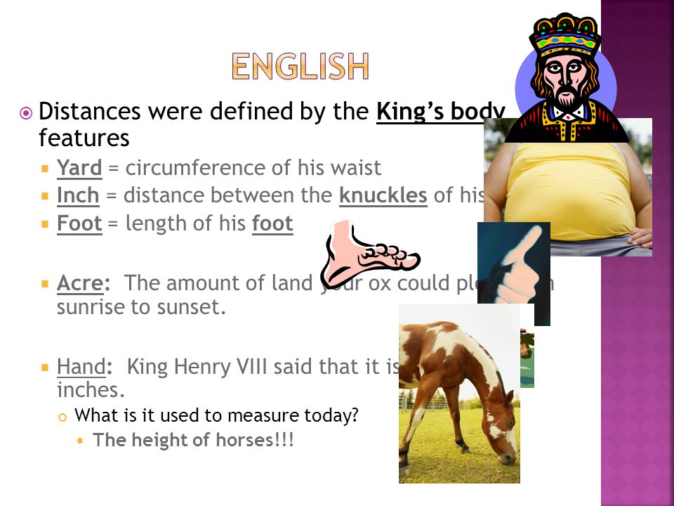 The History Of Measurement Ppt Video Online Download