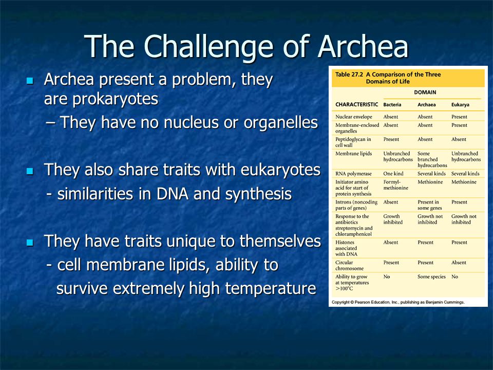 The Challenge of Archea