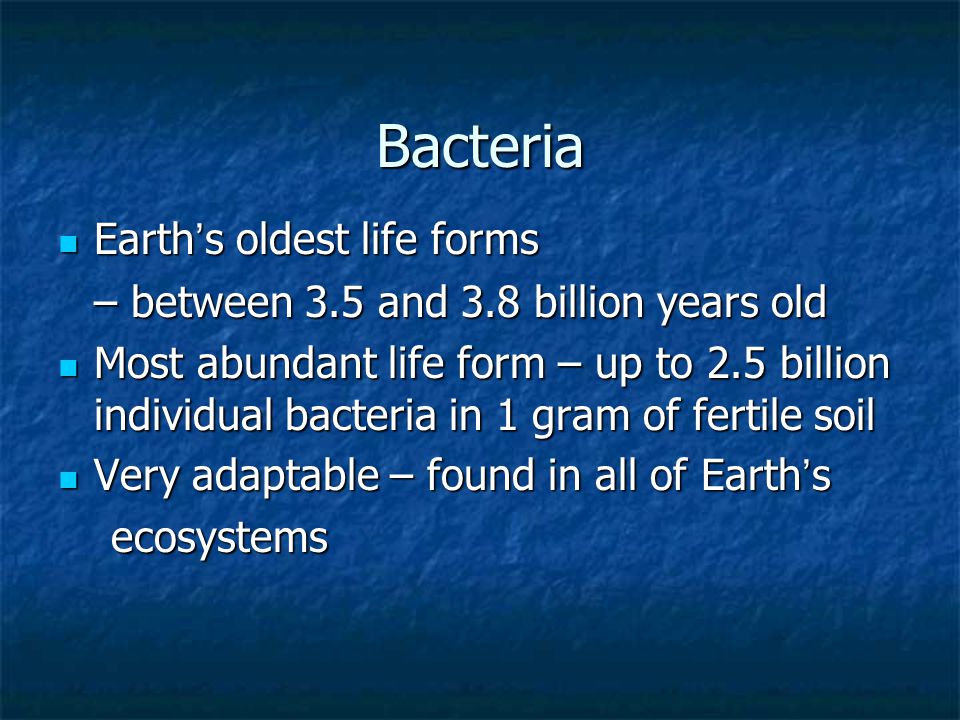 Bacteria Earth’s oldest life forms