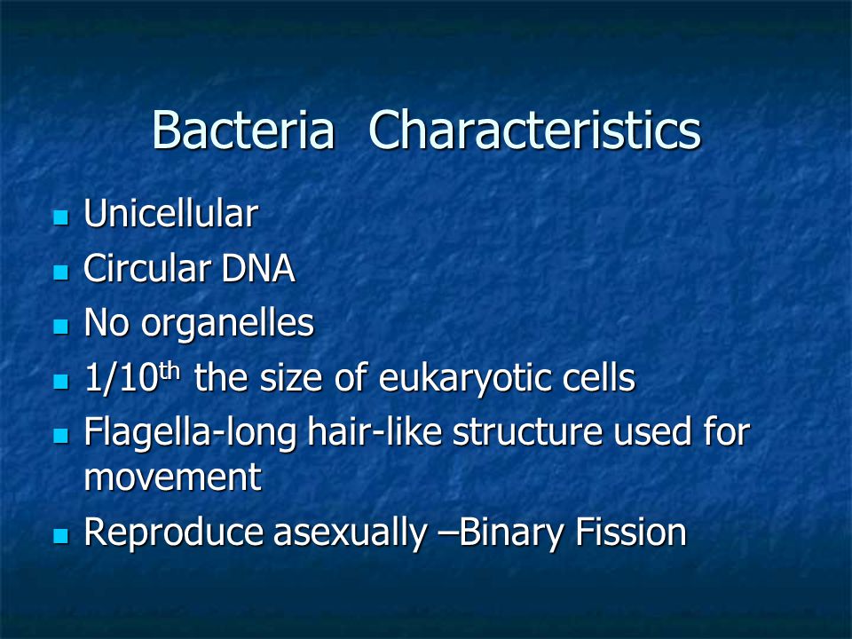Bacteria Characteristics