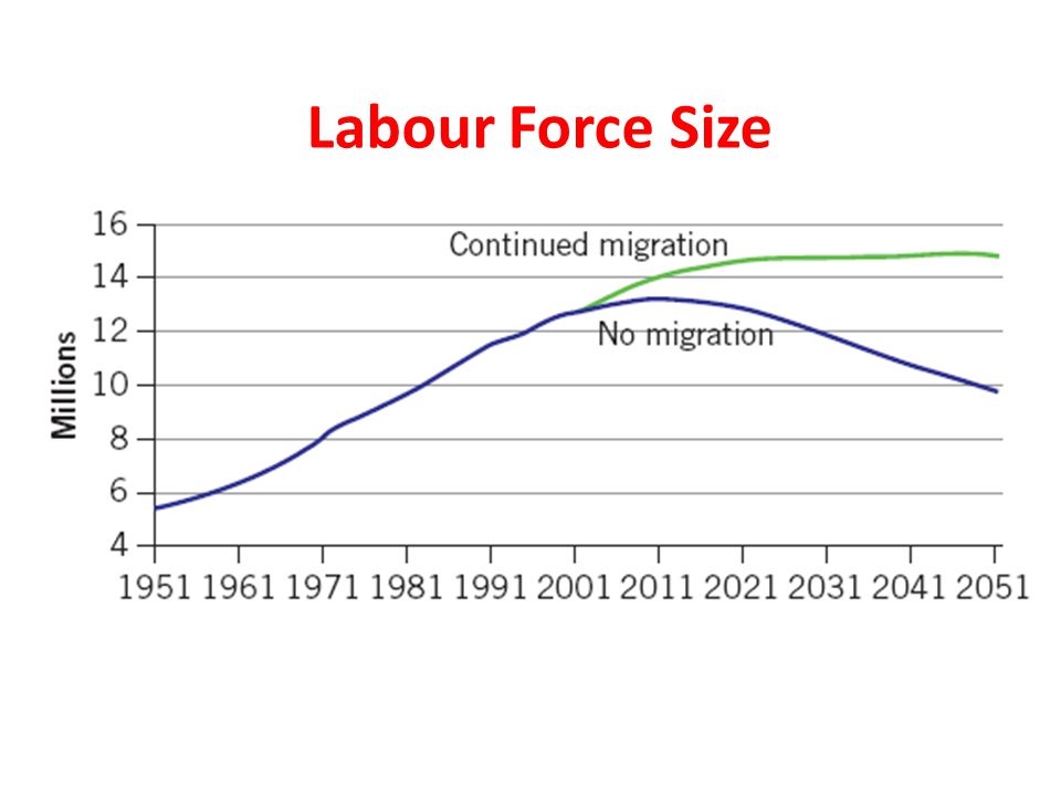 Labour Force Size