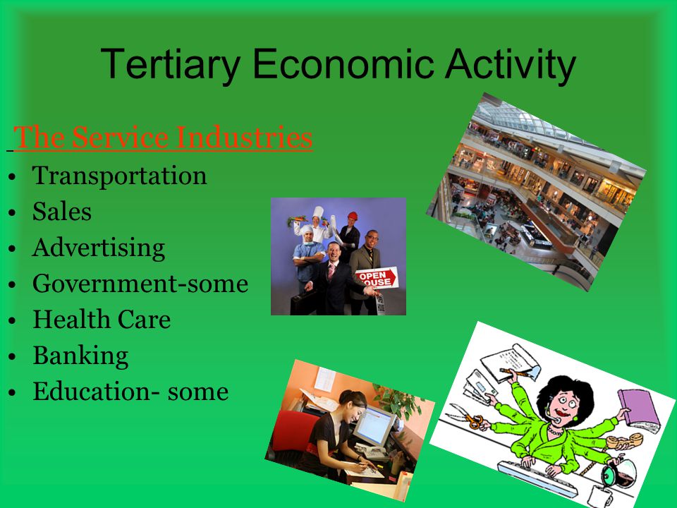 Economic Activity Ppt Video Online Download