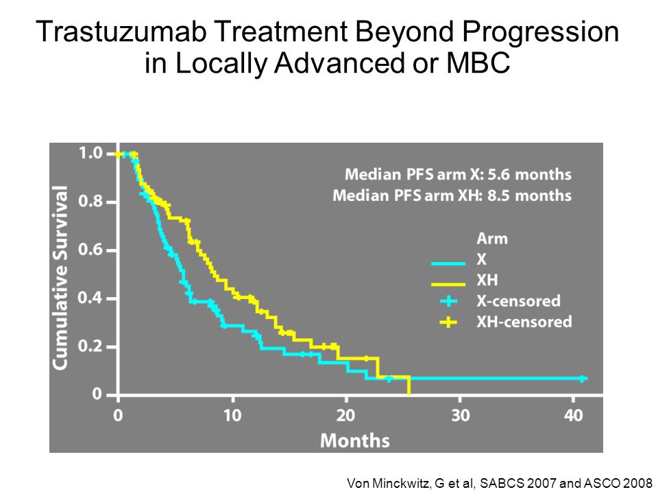 Trastuzumab Treatment Beyond Progression in Locally Advanced or MBC