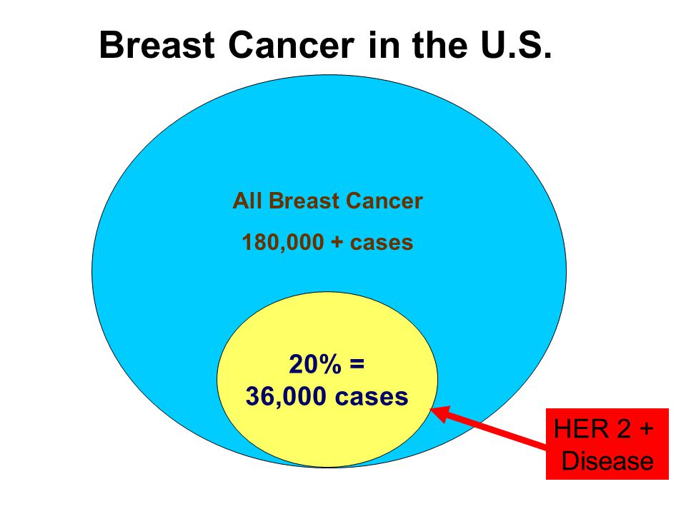 Breast Cancer in the U.S. 20% = 36,000 cases HER 2 + Disease
