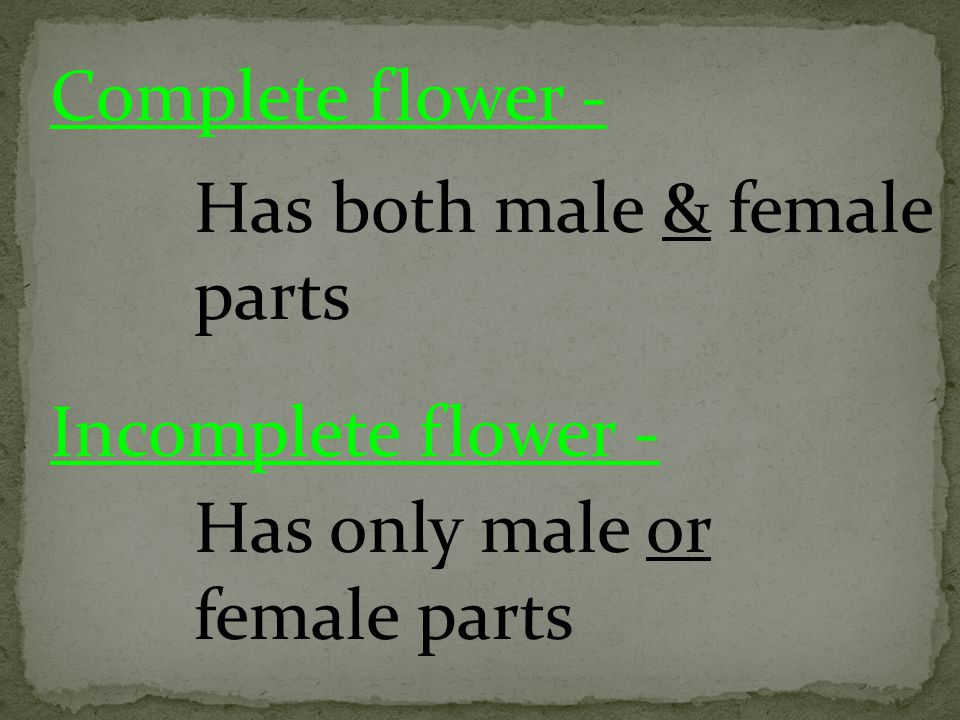 Complete flower - Has both male & female parts Incomplete flower - Has only male or female parts