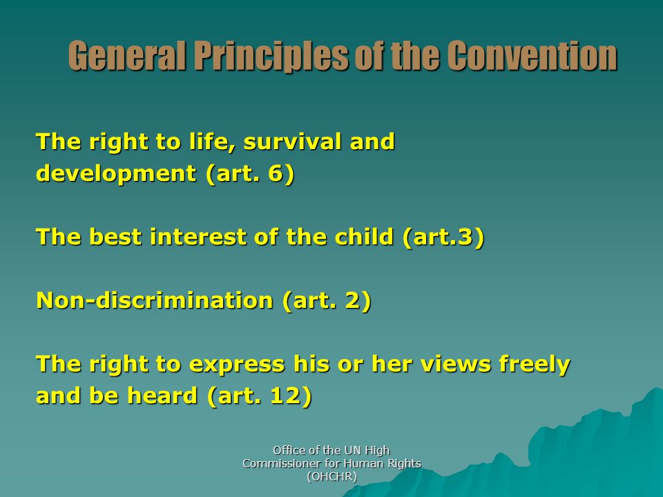 General Principles of the Convention