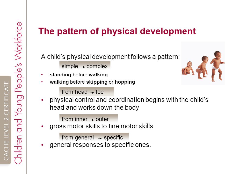 The pattern of physical development