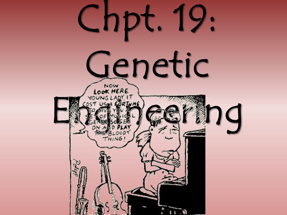 Chpt. 19: Genetic Engineering