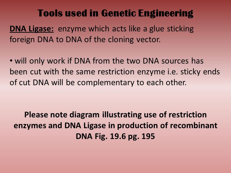 Tools used in Genetic Engineering