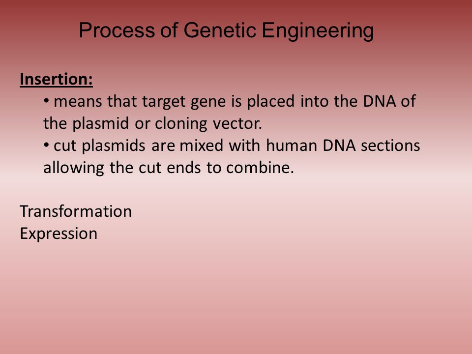 Process of Genetic Engineering