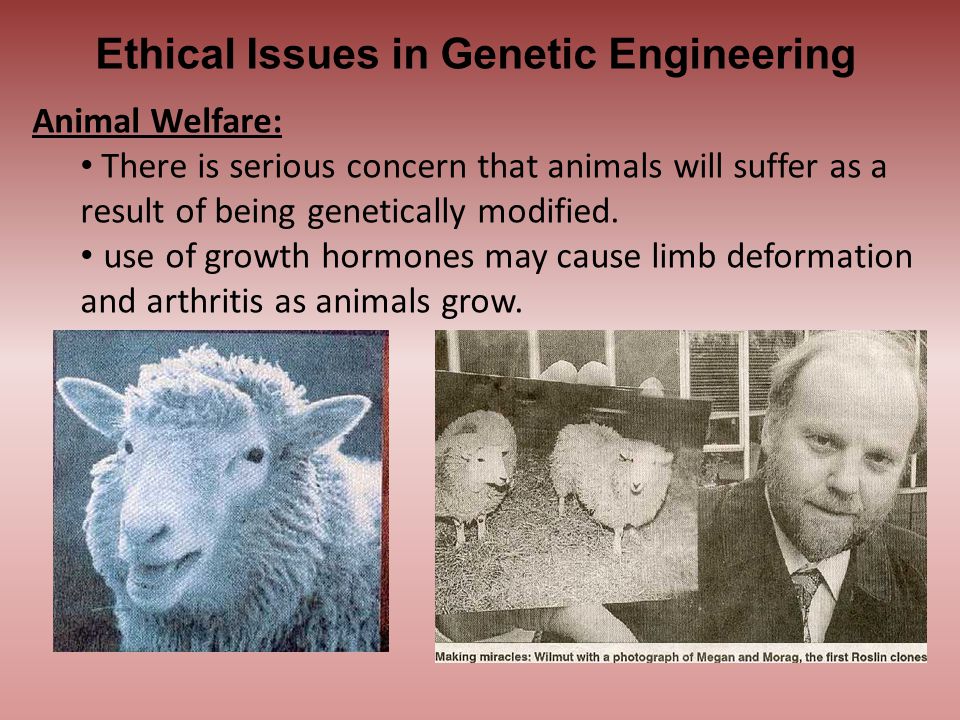 Ethical Issues in Genetic Engineering