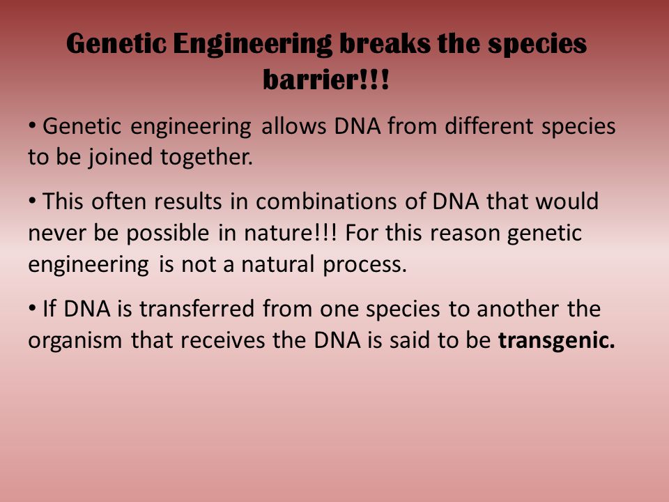Genetic Engineering breaks the species barrier!!!