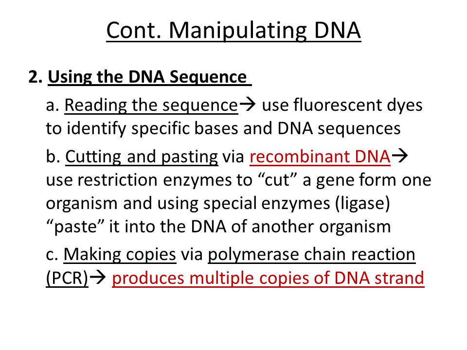 Cont. Manipulating DNA 2. Using the DNA Sequence