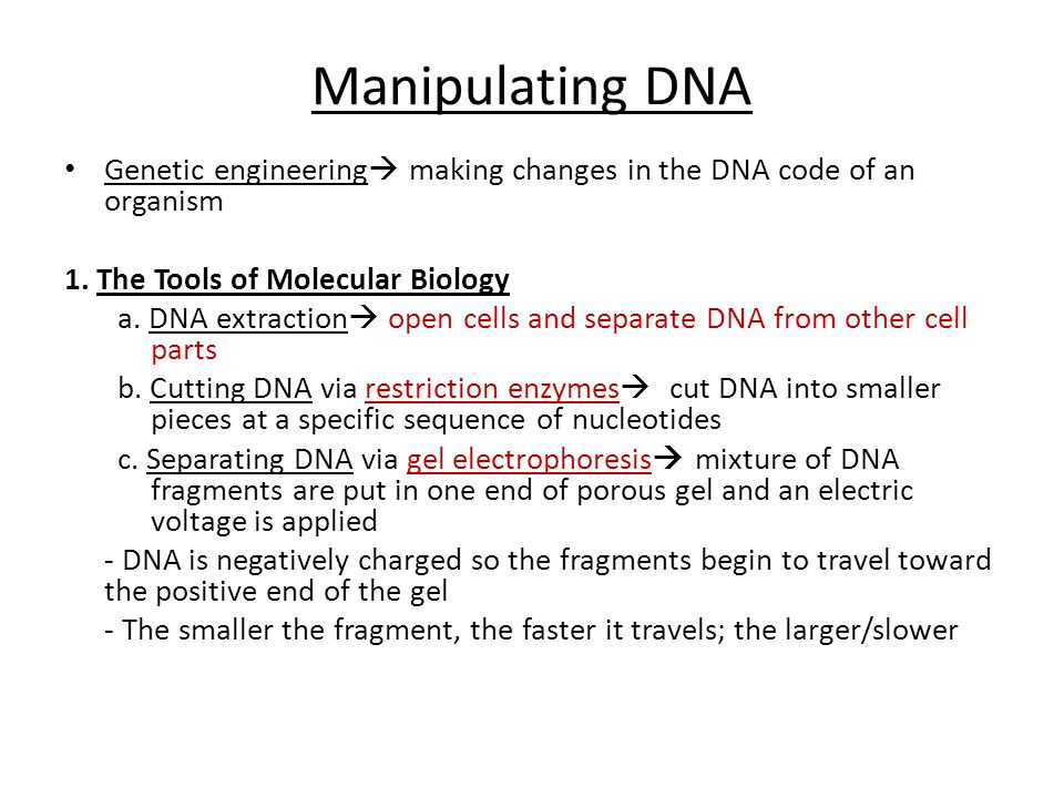 Manipulating DNA Genetic engineering making changes in the DNA code of an organism. 1. The Tools of Molecular Biology.