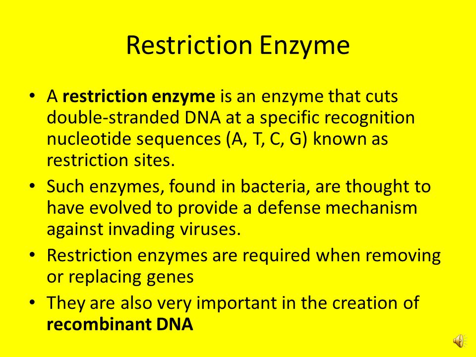Restriction Enzyme