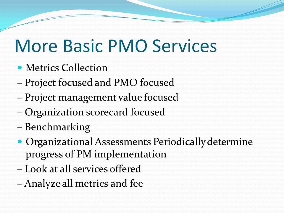 More Basic PMO Services