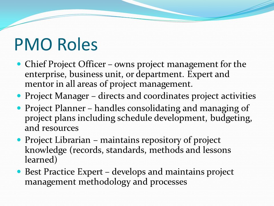 PMO Roles