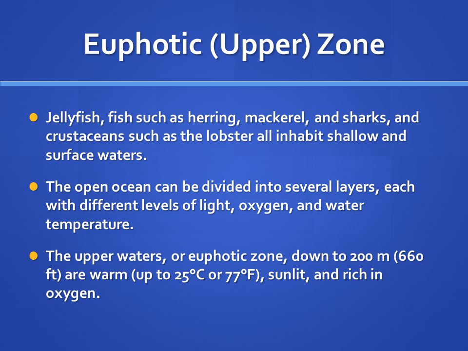 Euphotic (Upper) Zone