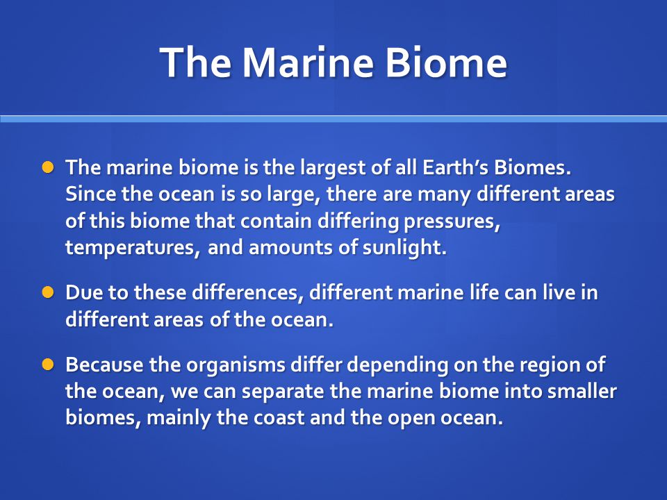 The Marine Biome
