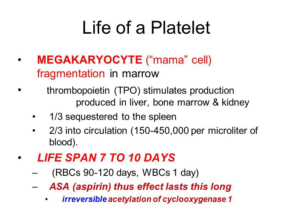 bleeding clotting disorders i ppt