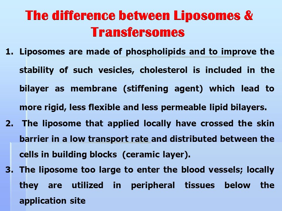 The difference between Liposomes & Transfersomes