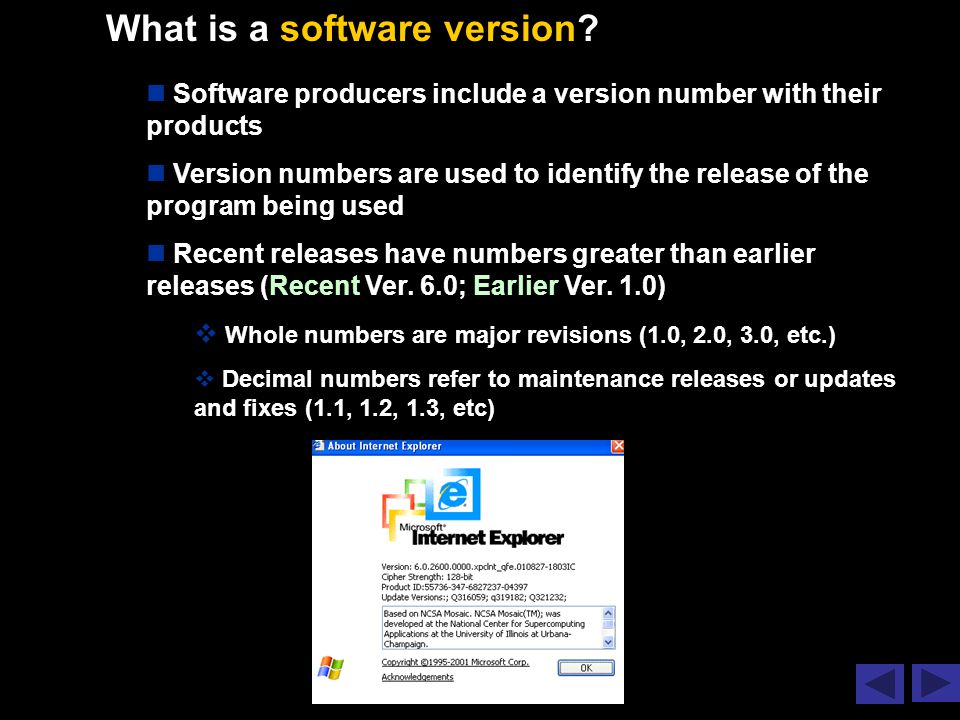 What is a software version