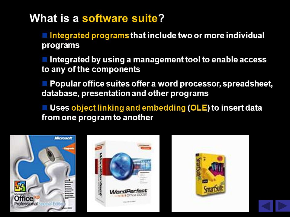 What is a software suite