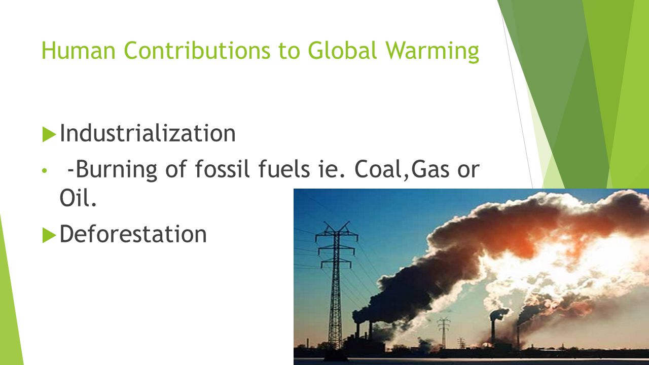 Human Contributions to Global Warming