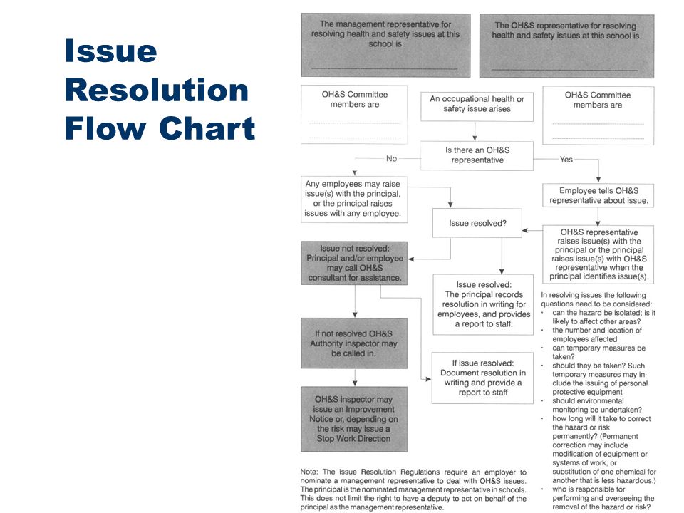 Issue Resolution Procedure Flow Chart