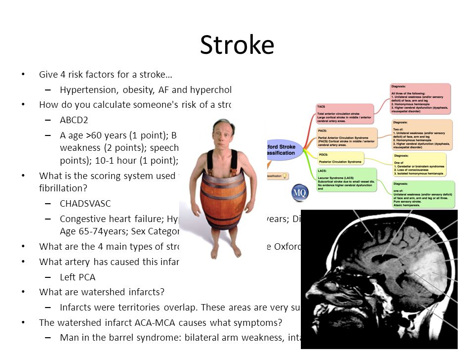 Block 3 Review Karina And Andrew Ppt Video Online Download