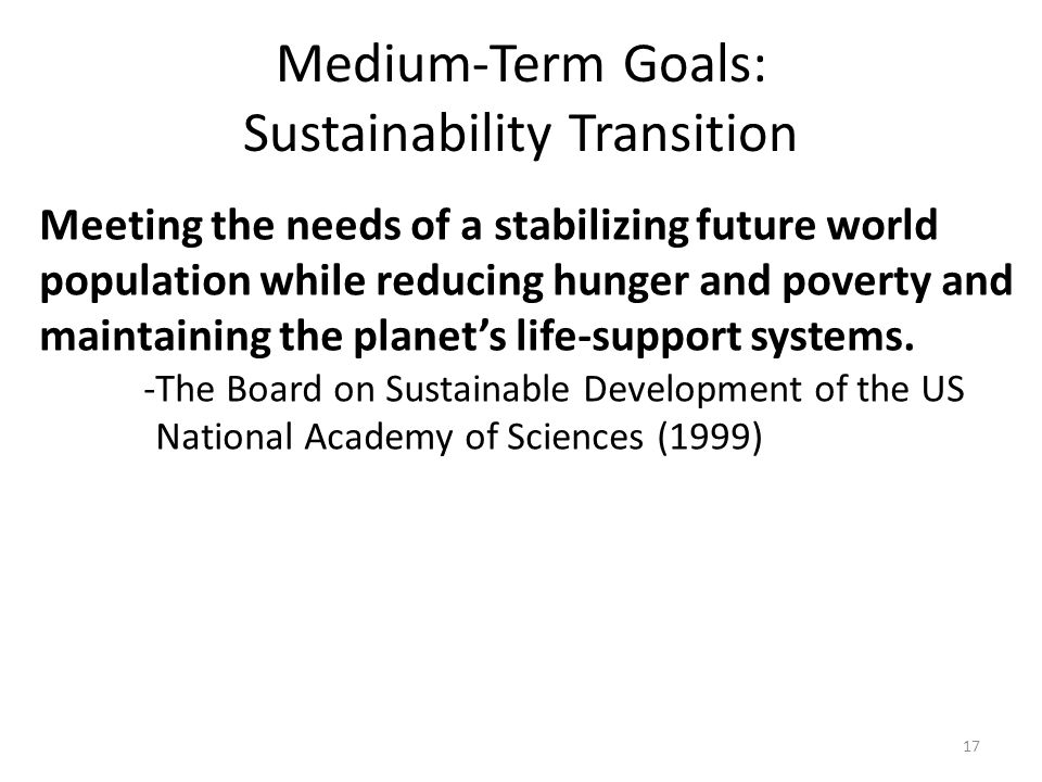 Medium-Term Goals: Sustainability Transition