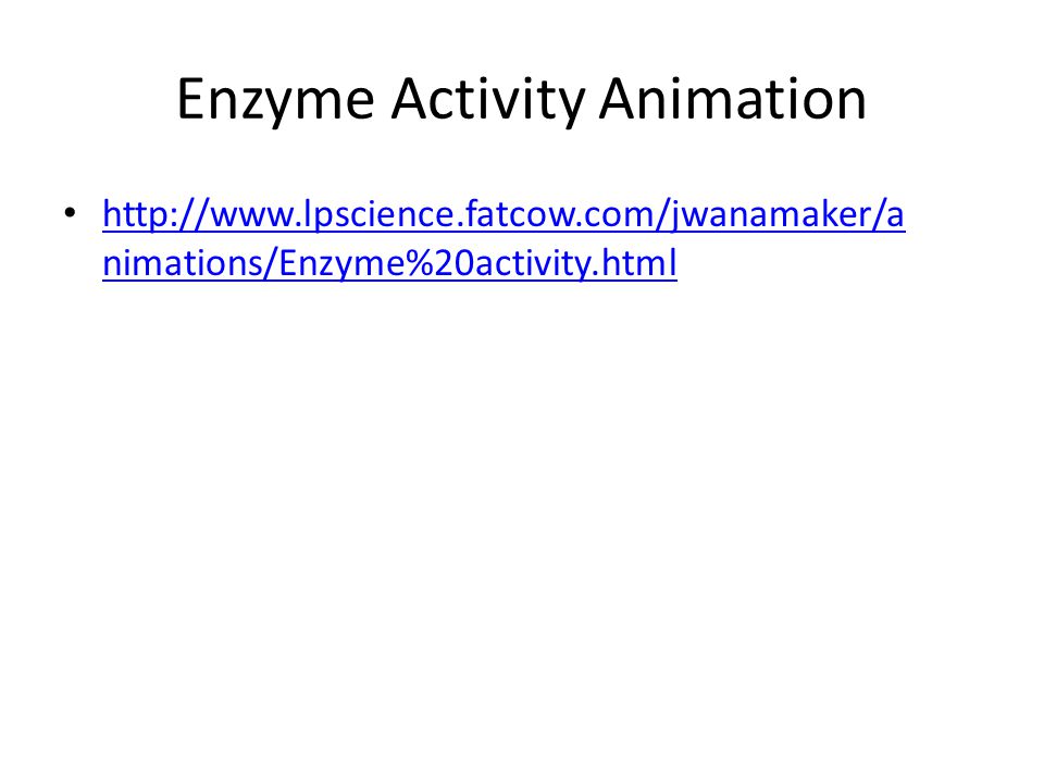 Identify and Investigate the role of enzymes. - ppt video online download Identify and Investigate the role of enzymes. - ppt video online download