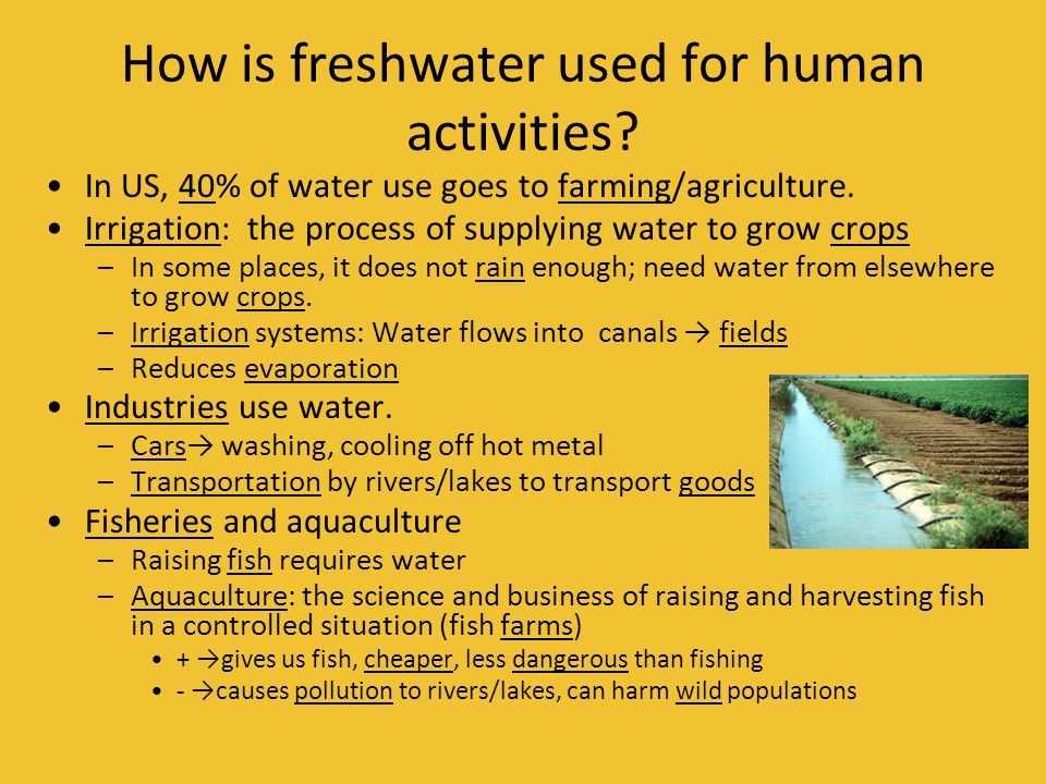 How is freshwater used for human activities