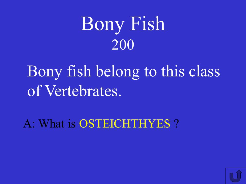 Bony Fish 200 Bony fish belong to this class of Vertebrates.