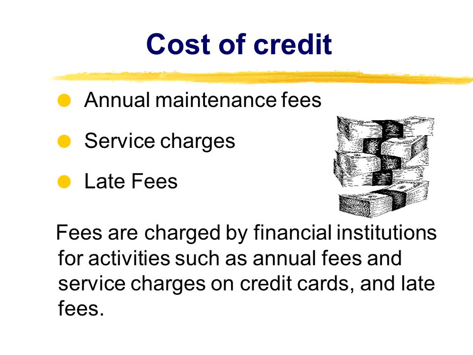 Cost of credit  Annual maintenance fees  Service charges  Late Fees