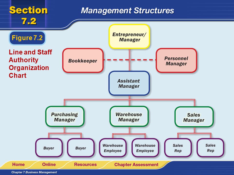 Management Staff Organization Chart