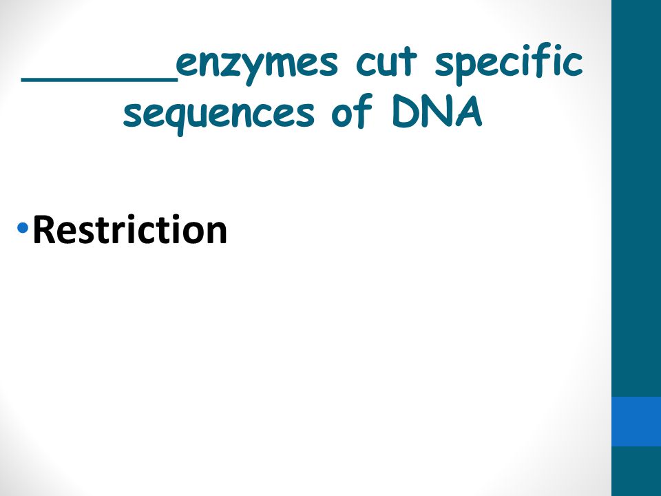 ______enzymes cut specific sequences of DNA