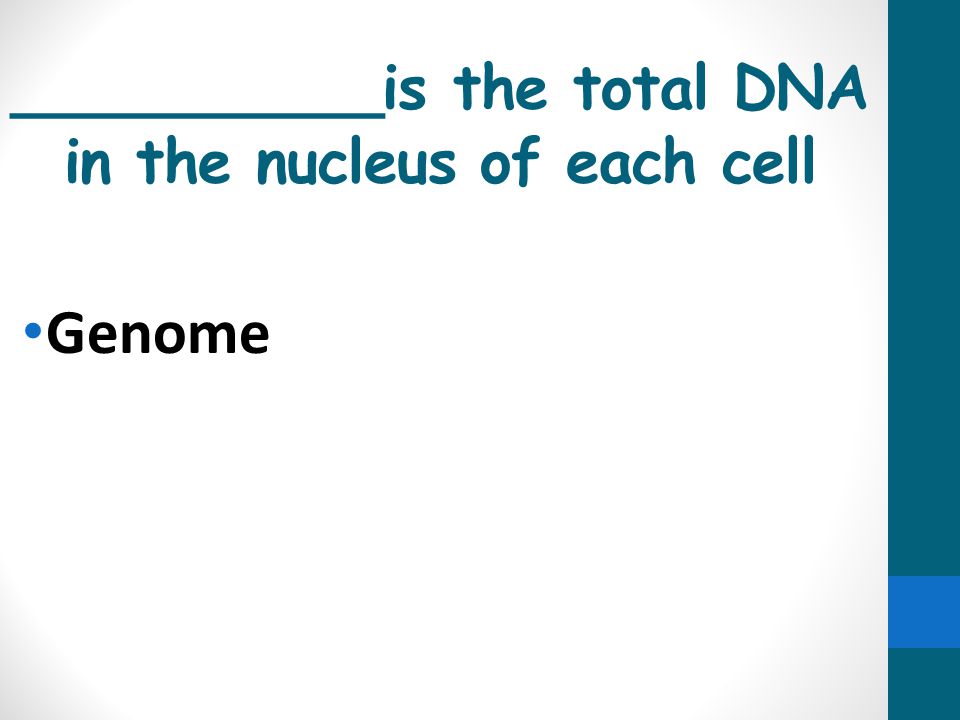 __________is the total DNA in the nucleus of each cell