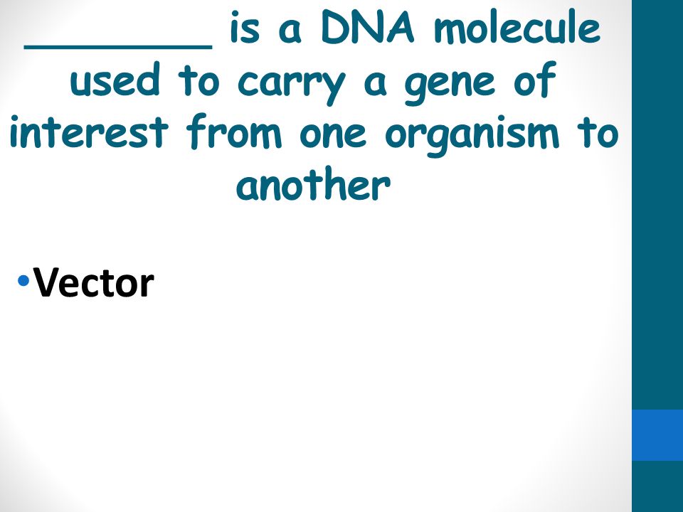 _______ is a DNA molecule used to carry a gene of interest from one organism to another