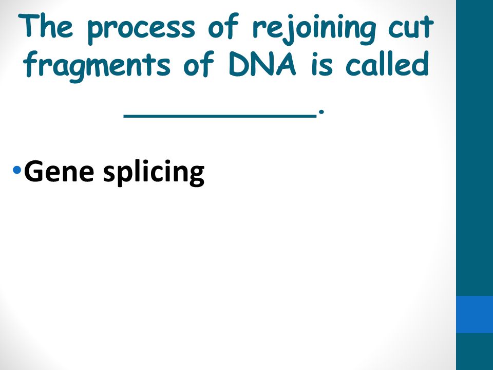 The process of rejoining cut fragments of DNA is called __________.
