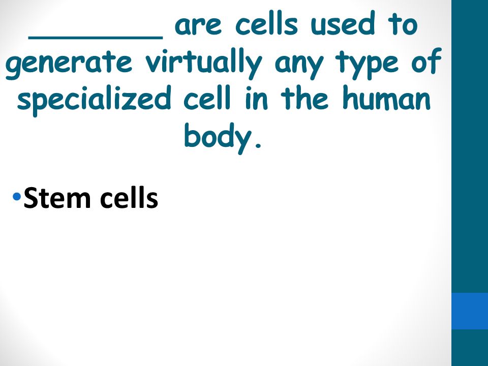 _______ are cells used to generate virtually any type of specialized cell in the human body.