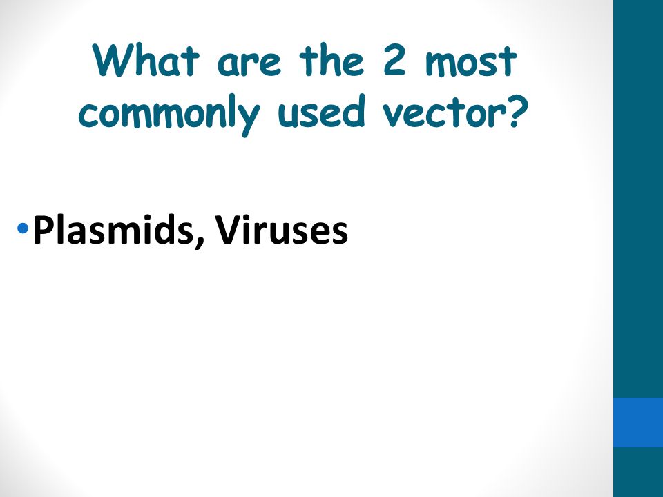 What are the 2 most commonly used vector