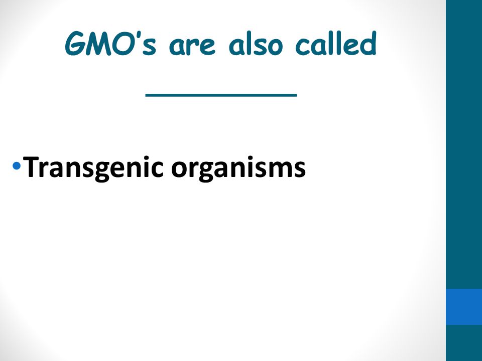 GMO’s are also called ________