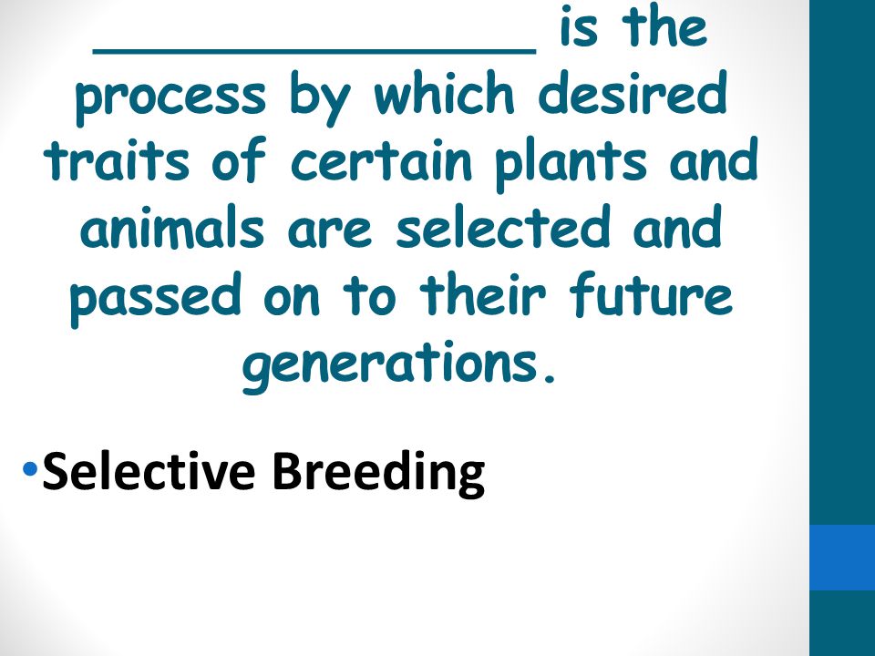 _____________ is the process by which desired traits of certain plants and animals are selected and passed on to their future generations.