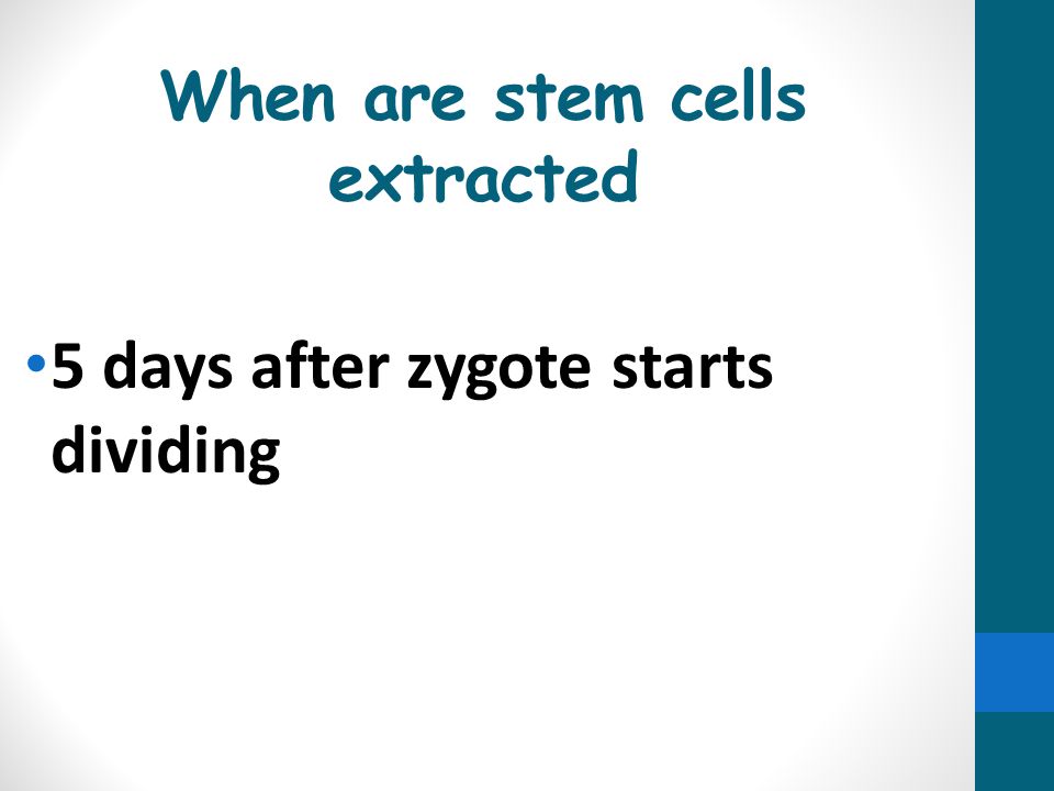 When are stem cells extracted